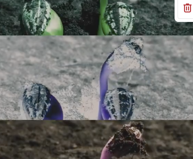 Screenshot 2024-02-05 at 12.16.26.png