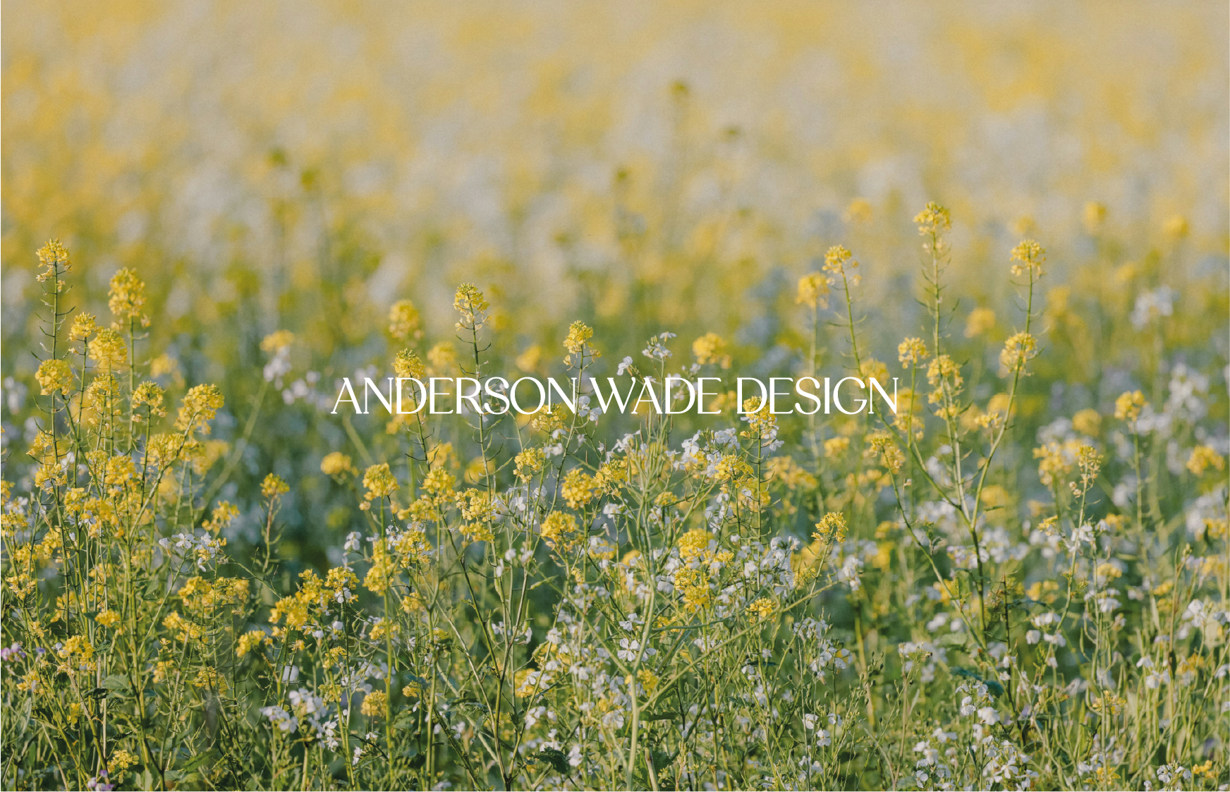 A field of yellow wildflowers with some white flowers, and the text "Anderson Wade Design" overlayed in the center.