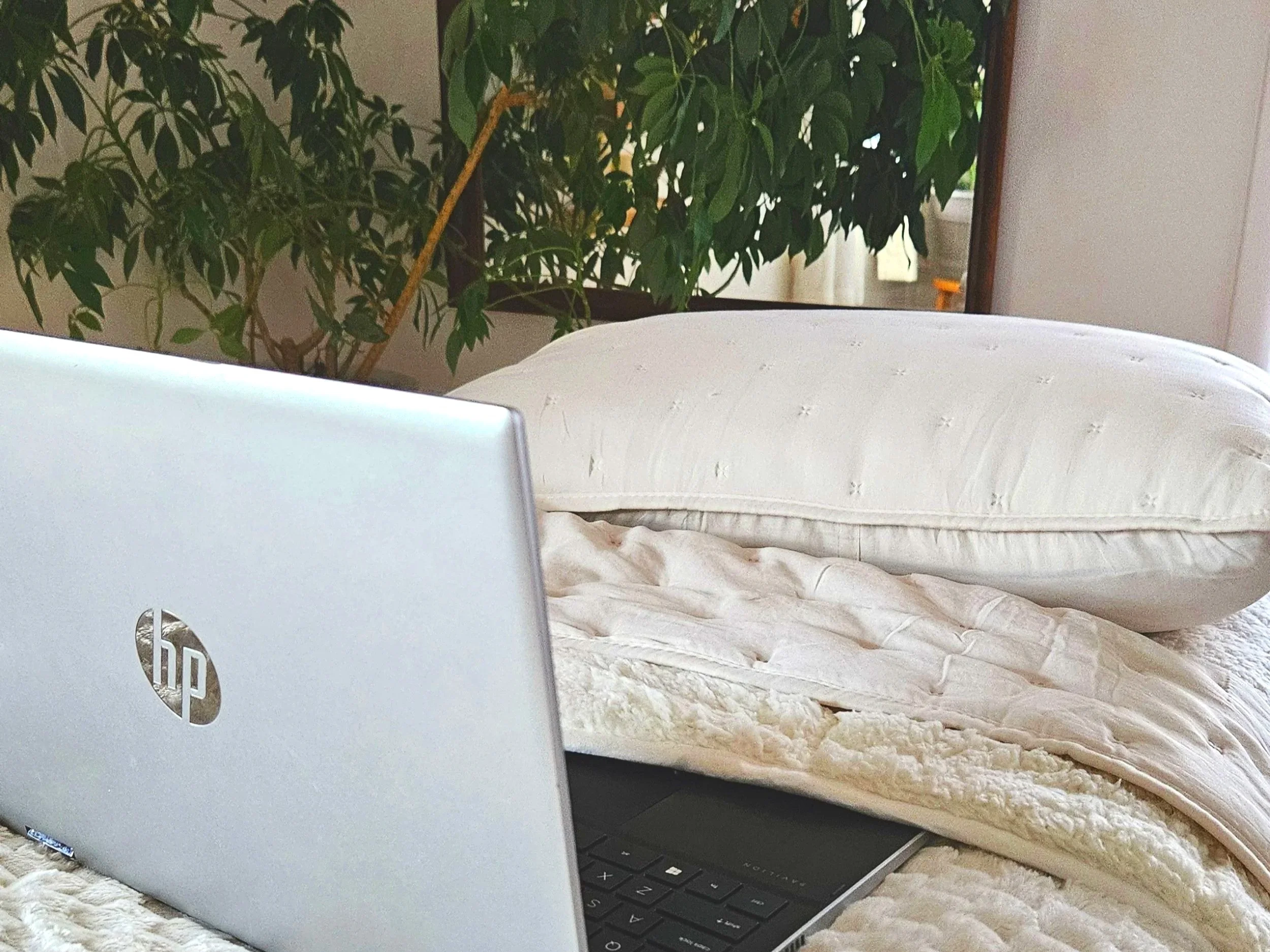 Laptop on a bed with white blankets and pillow, next to a large indoor plant.