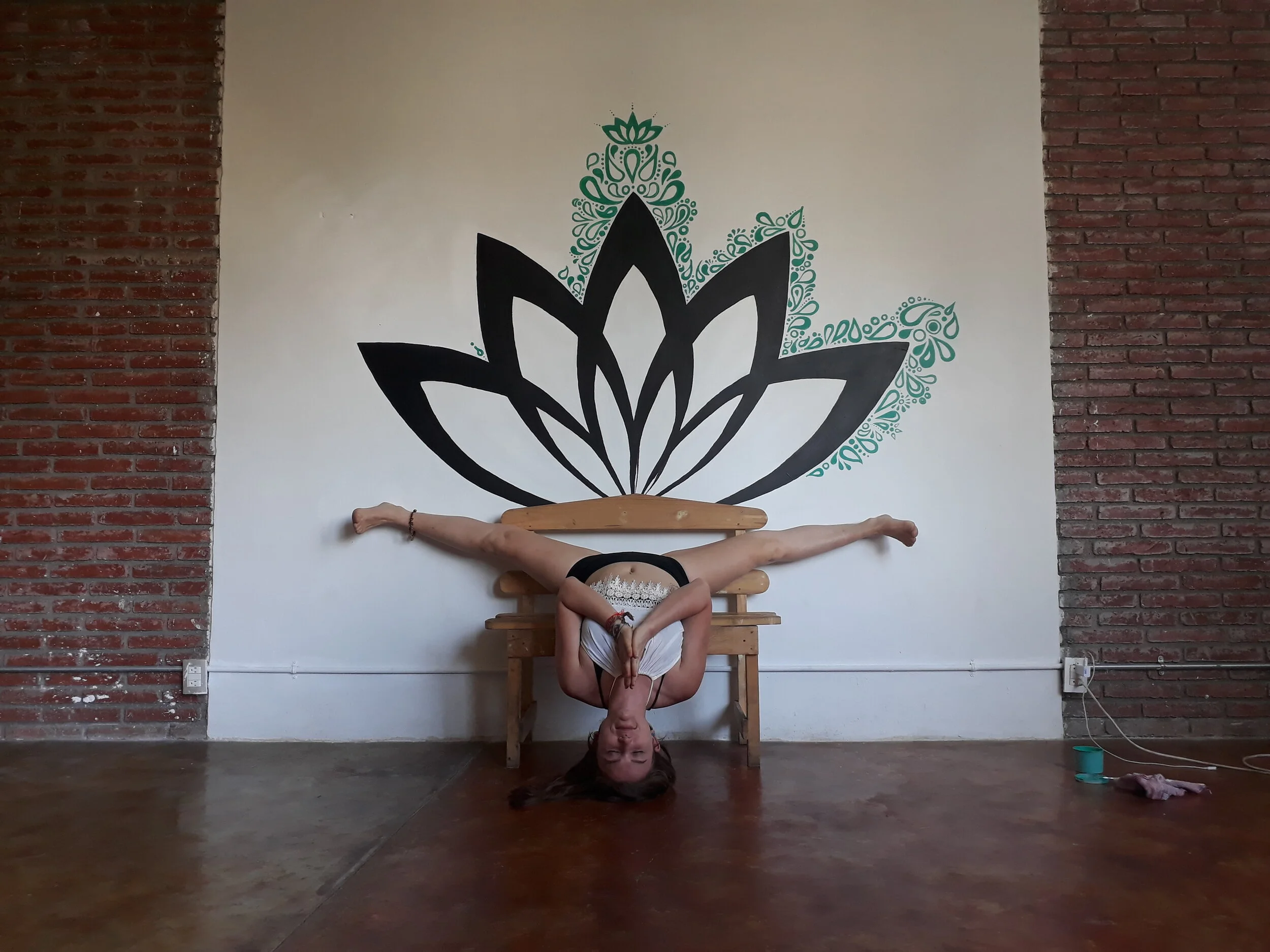 "Jiva Yoga Live," 2018, acrylic on drywall, 6' x 3', Oaxaca, Mexico