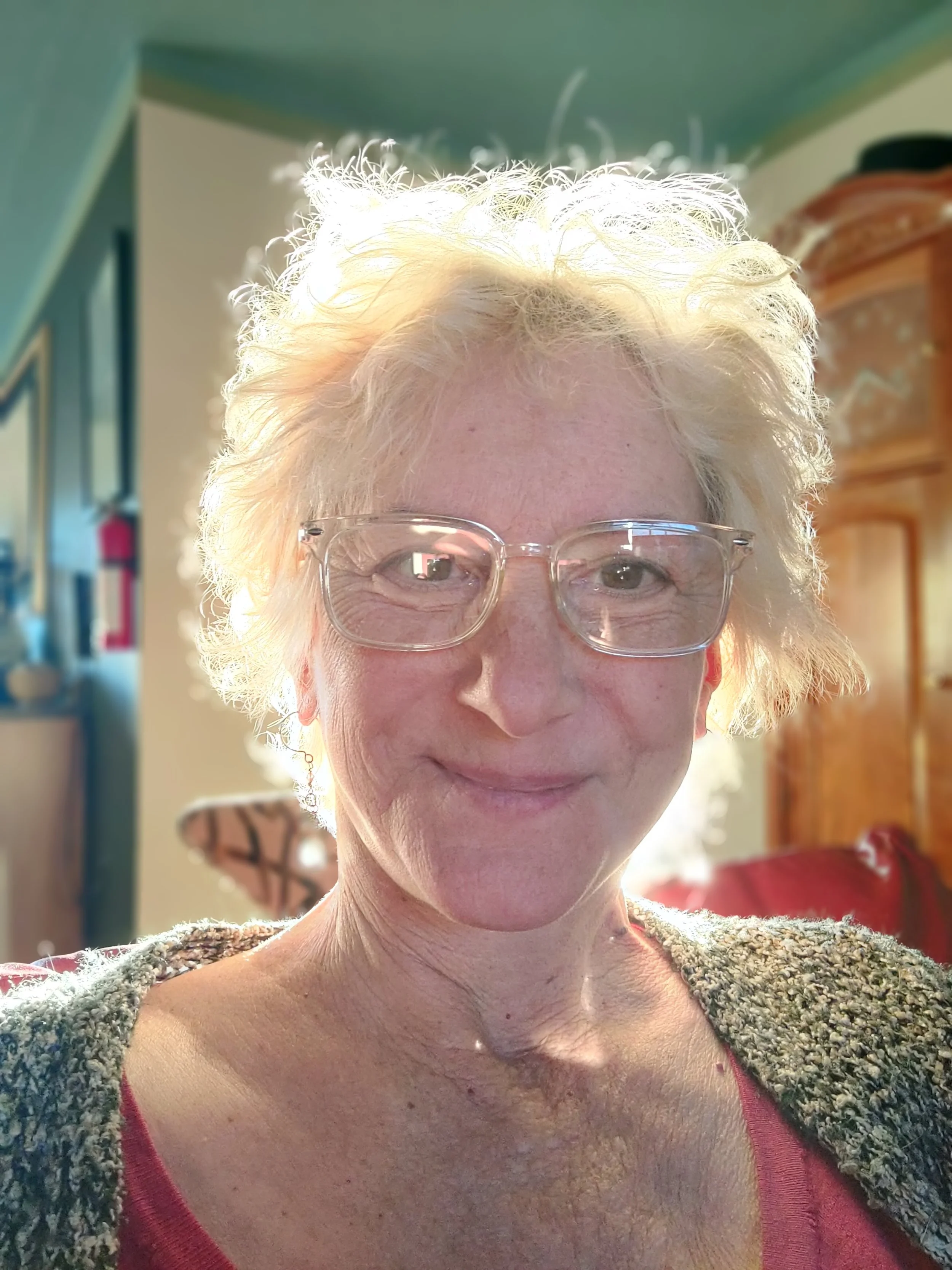 Giovanna Helsey
J. L. Giovanna Hesley, BFA, MEd, MS writes grants for the Youth Mural Program. She is a working artist who lives in Silver City, New Mexico. She won the Niche Award for the American Crafts Council for her hand-painted silks.