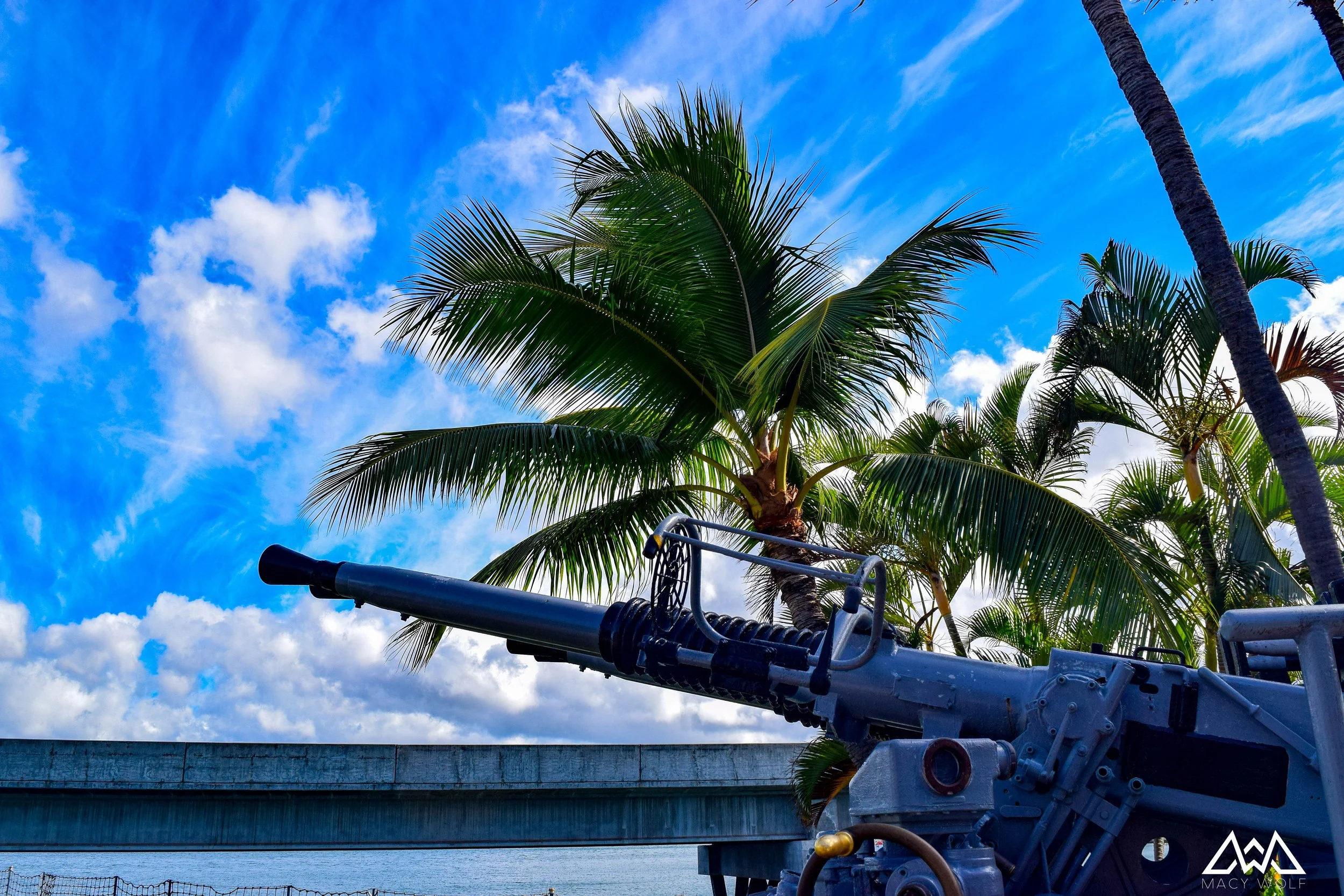 2022_29_06-PearlHarbor-9.jpg
