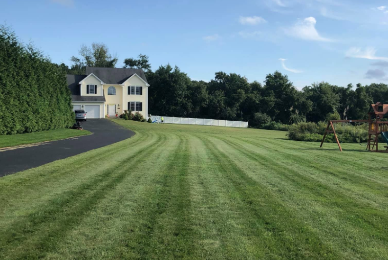 Screen Shot 2020-08-27 at 11.38.00 AM.png