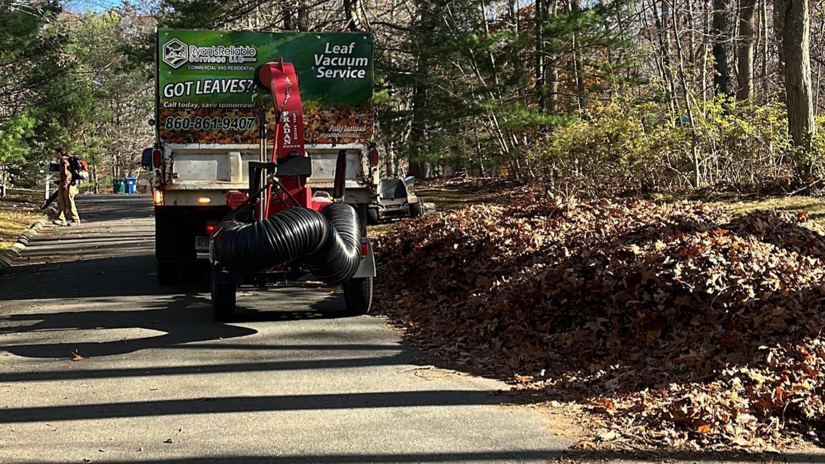 Seasonal Cleanups