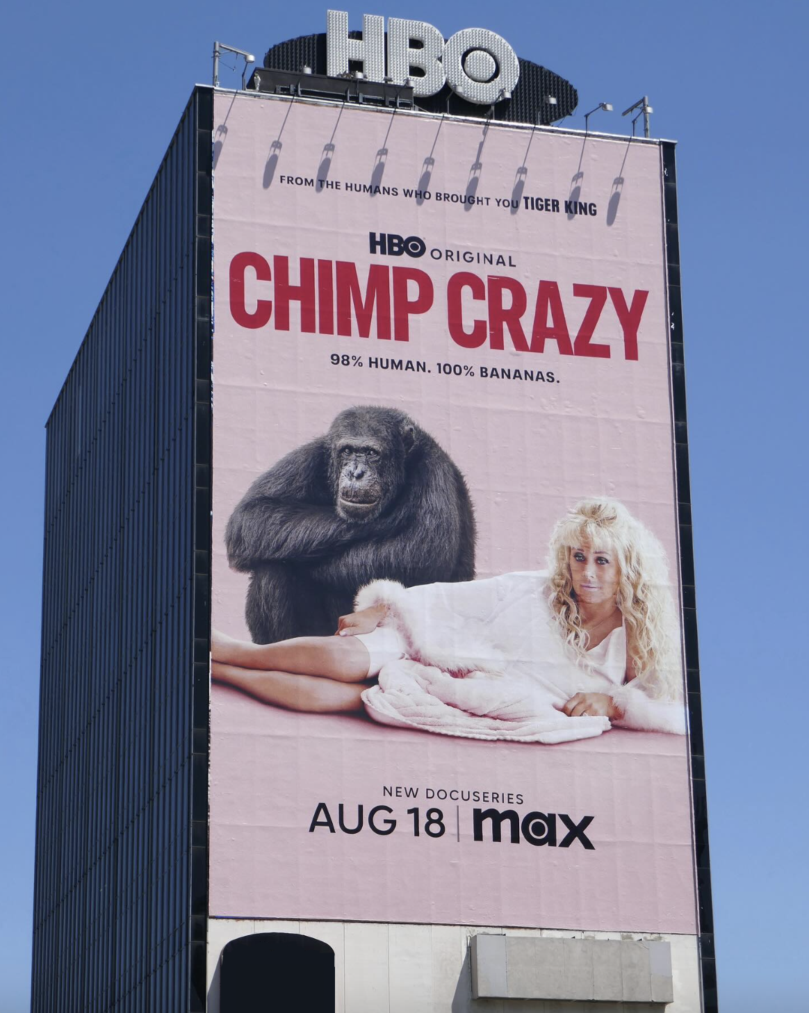 Screenshot 2024-08-18 at 1.53.23 PM.png