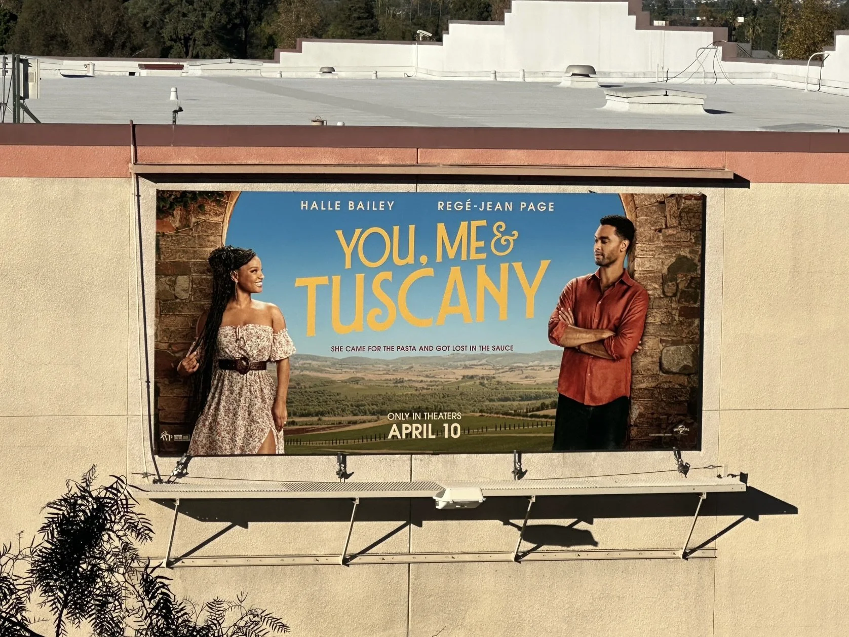 615686051_1384323870400985_5354397443242674821_n 2.jpg