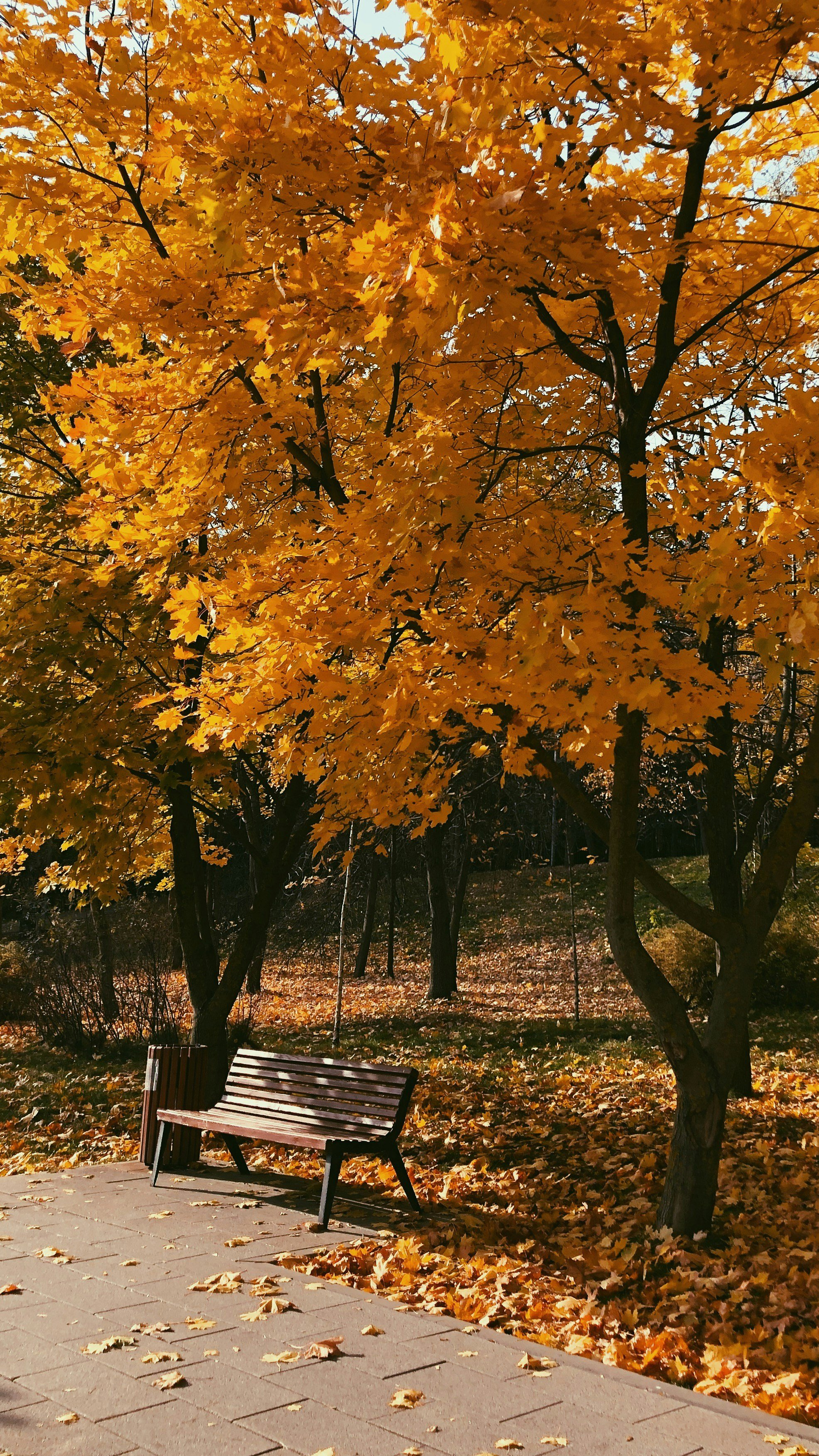 ADHD, Seasonal Shifts, and the Effort of Reorientation