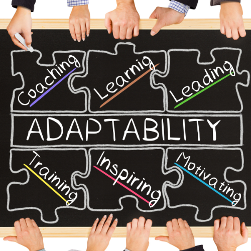 AI and Adaptive Leadership: How Tech Supports Smarter, Faster, Better Leadership