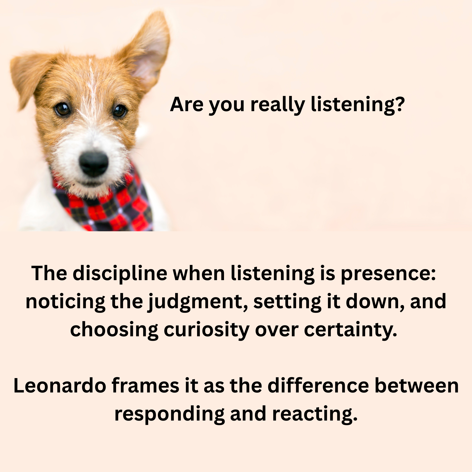 Are You Actually Listening — or Just Waiting to Talk?