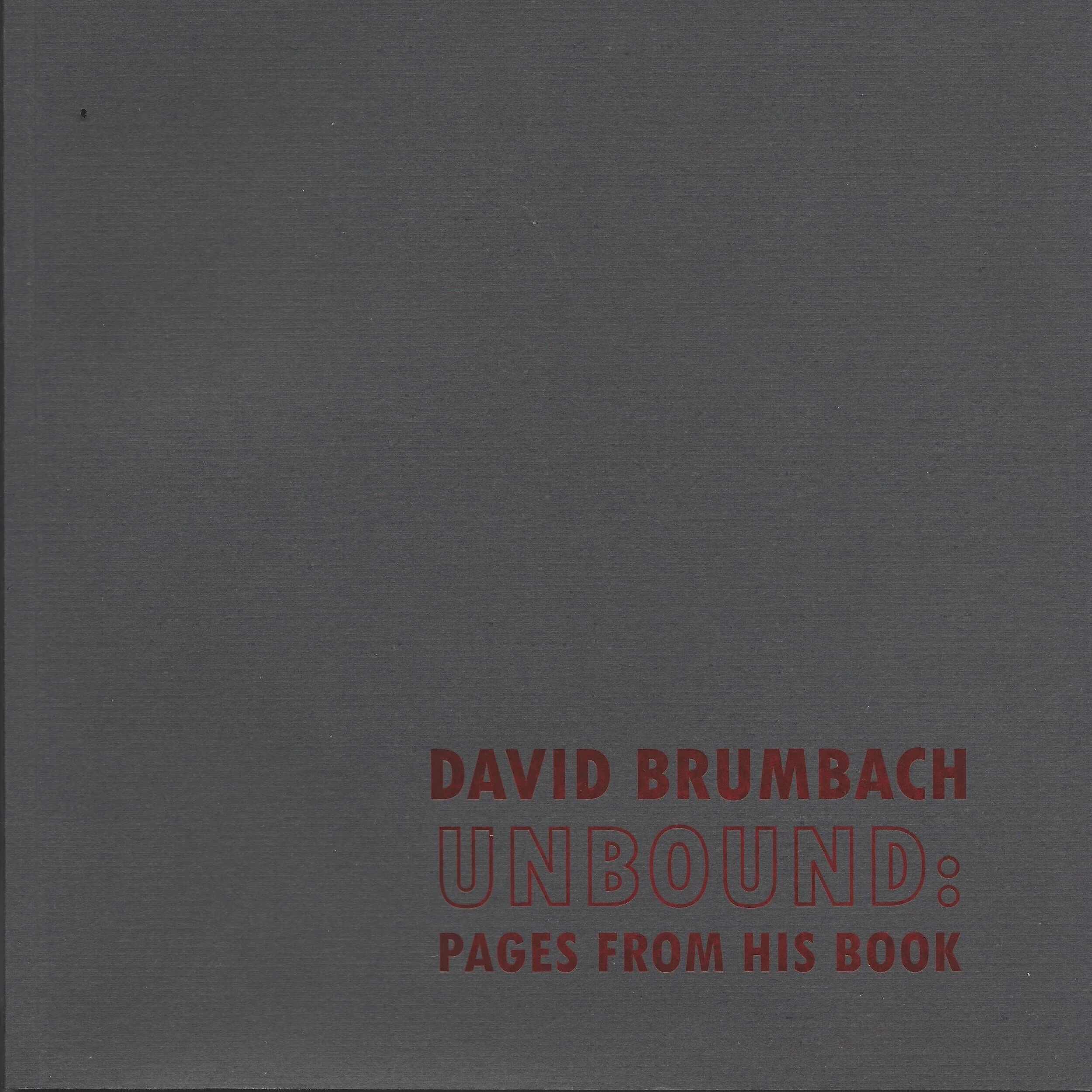 David Brumbach Unbound: Pages From His Book