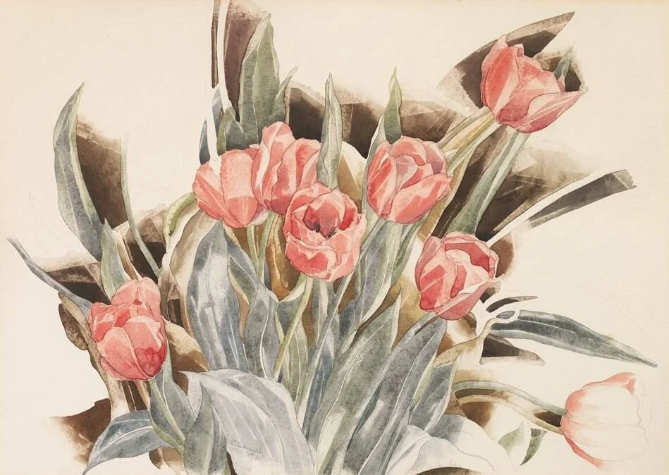Pink Tulips.JPG