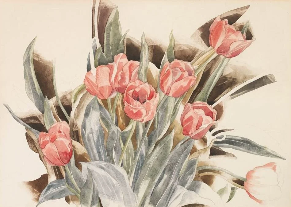 Pink Tulips.JPG