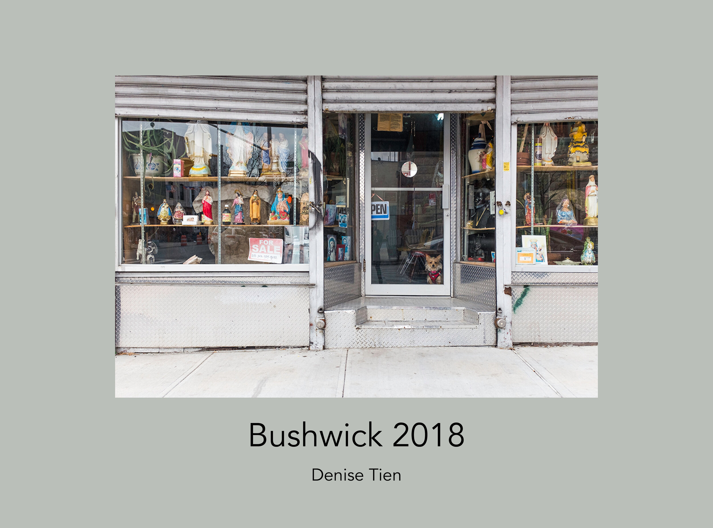 Bushwick-2020-final-edit-captions.jpg