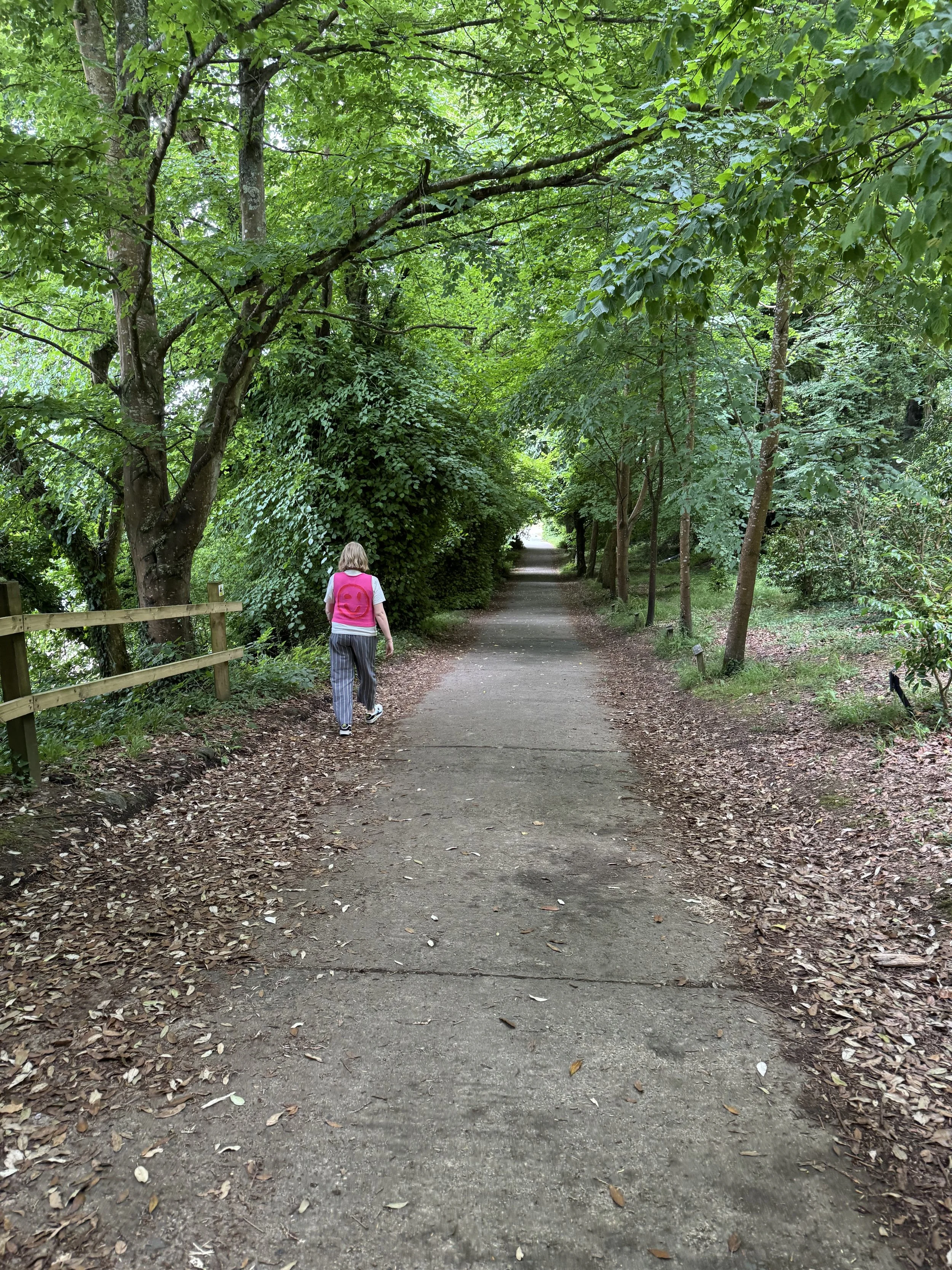 someone taking a step forward in a forest
