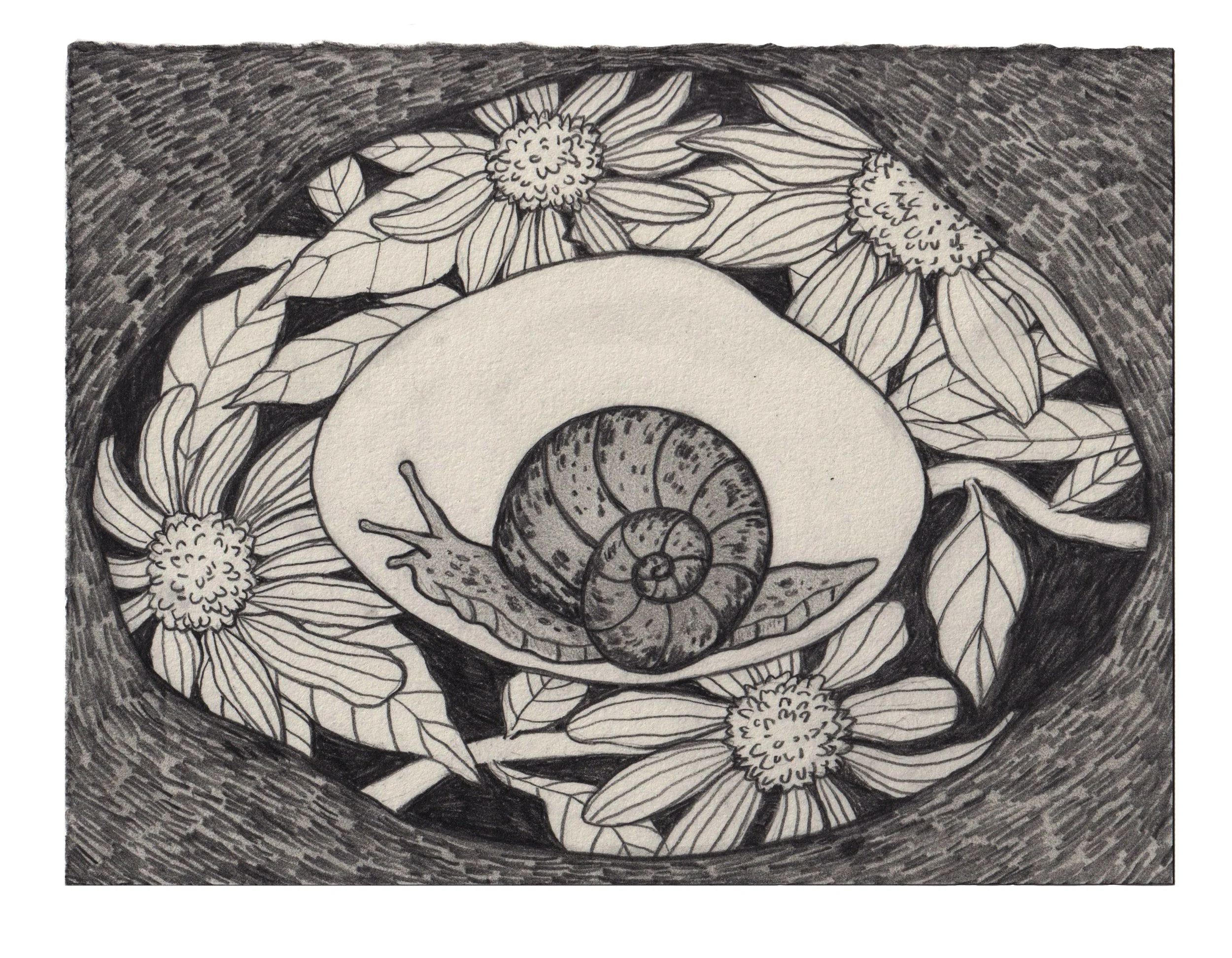 Blooming on the Inside