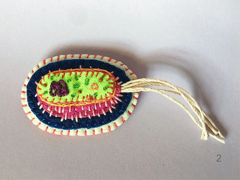 Photo of option 2: a hand-sewn, beaded and embroidered brooch in the shape of a bacteria cell on a white background.