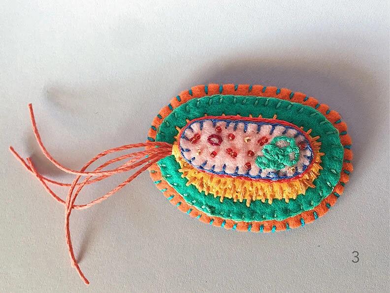 Photo of option 3: a hand-sewn, beaded and embroidered brooch in the shape of a bacteria cell on a white background.