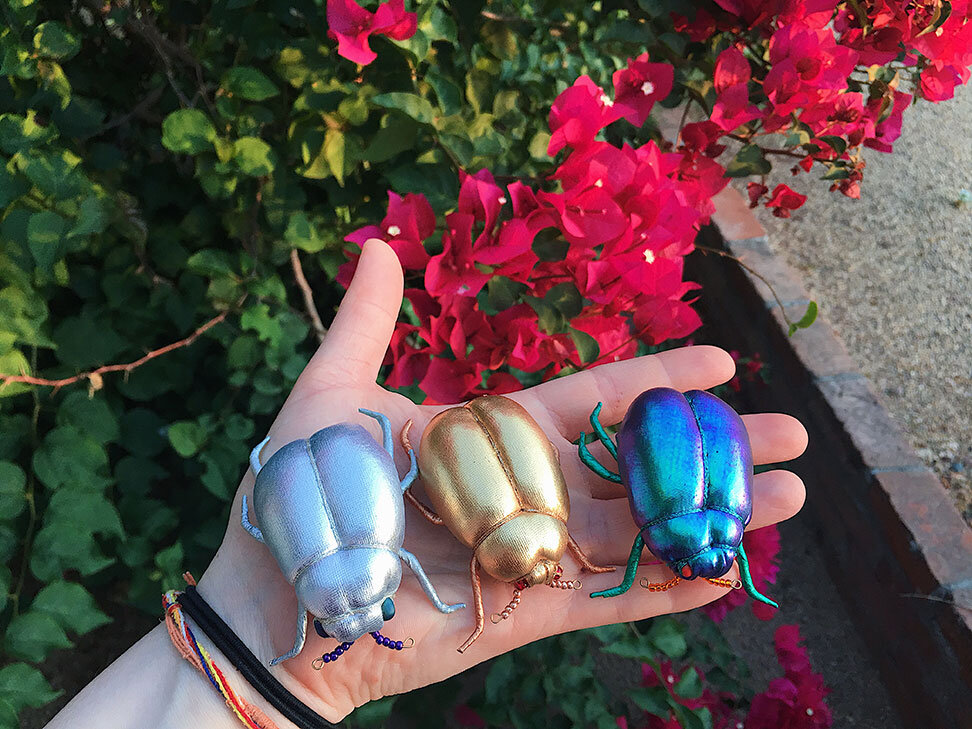 beetle_group1.jpg