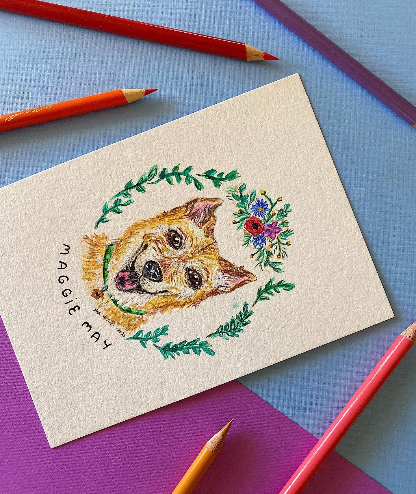 Happy Friday lovelies. This is another Christmas commission I completed for a friend (thanks Mel!) ❤️ I really enjoy pet portraits, and I used gouache and colored pencils for Maggie here (I can do digital as well)
.
The kicker? I was a major dingus a