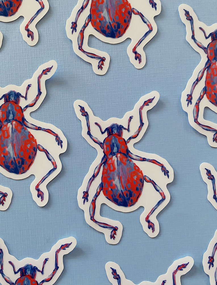 Clear Beetle Sticker
