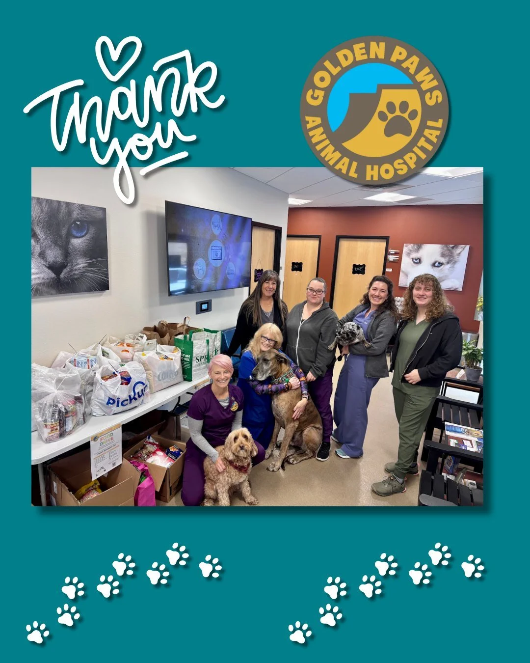 A big thank you to @goldenpawsanimalhospital for pulling together a 311 pound food drive for BGOLDN. We appreciate partners like you!
#goldenpaws #goldencolorado #bgoldn #goldencommunity #fooddrive