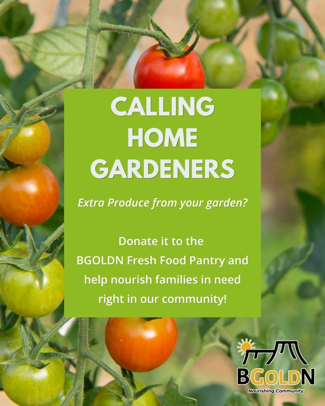🌿 Plant a little extra this season. As you start your spring garden, consider growing an extra row for BGOLDN. Fresh garden produce helps us provide healthy, nutritious food to families in our community.🍅🥬🥒🌶️🫑

Your harvest can help nourish a n