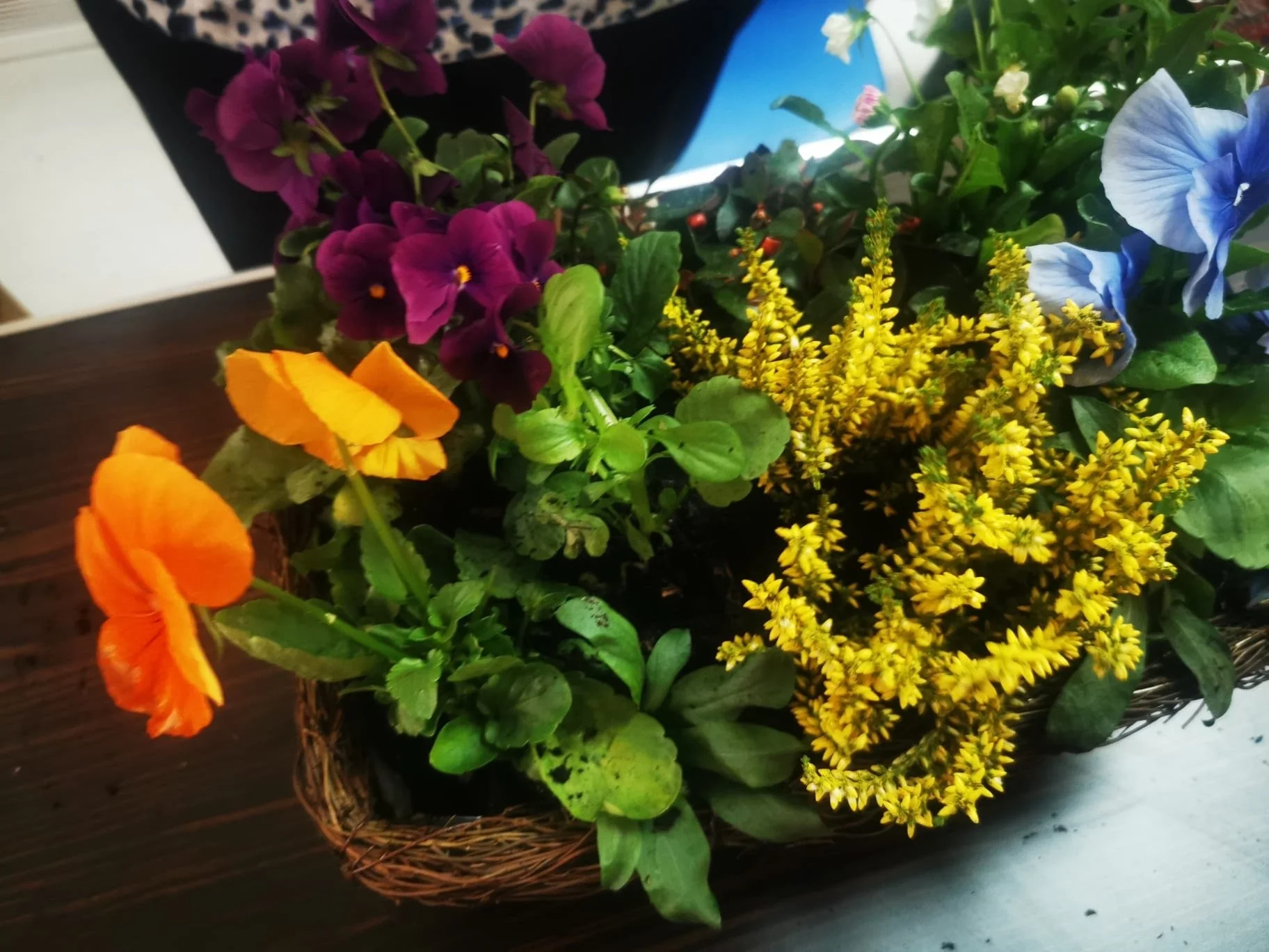 Holistic Mums Window-box Nature Wellbeing Workshop