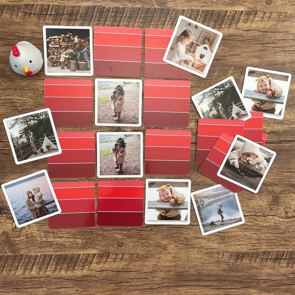 Buy MEMORY Original the Photographic Memory Game Picture Online in India 