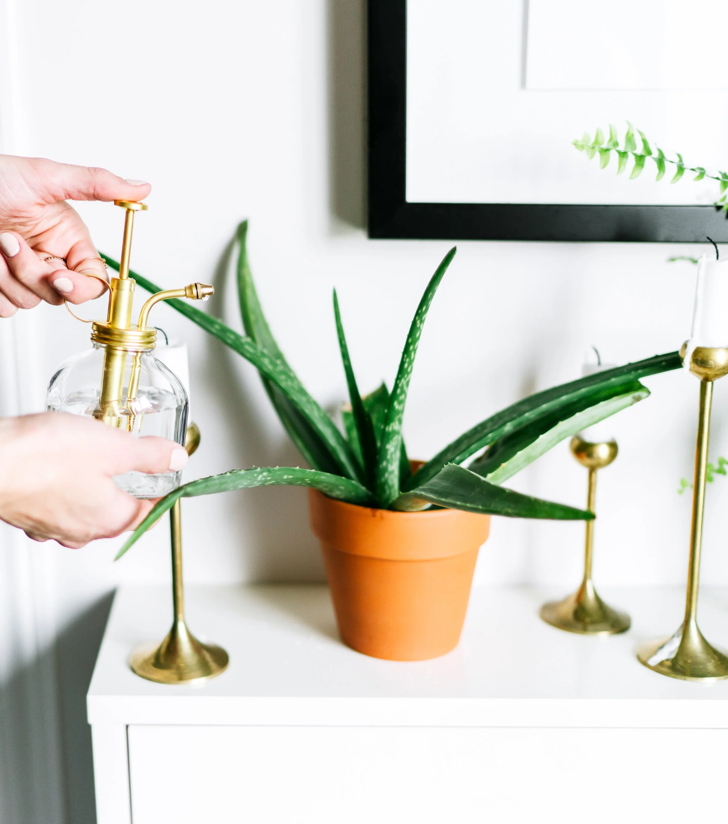 Welcome Back to House of Six: A Fresh Start