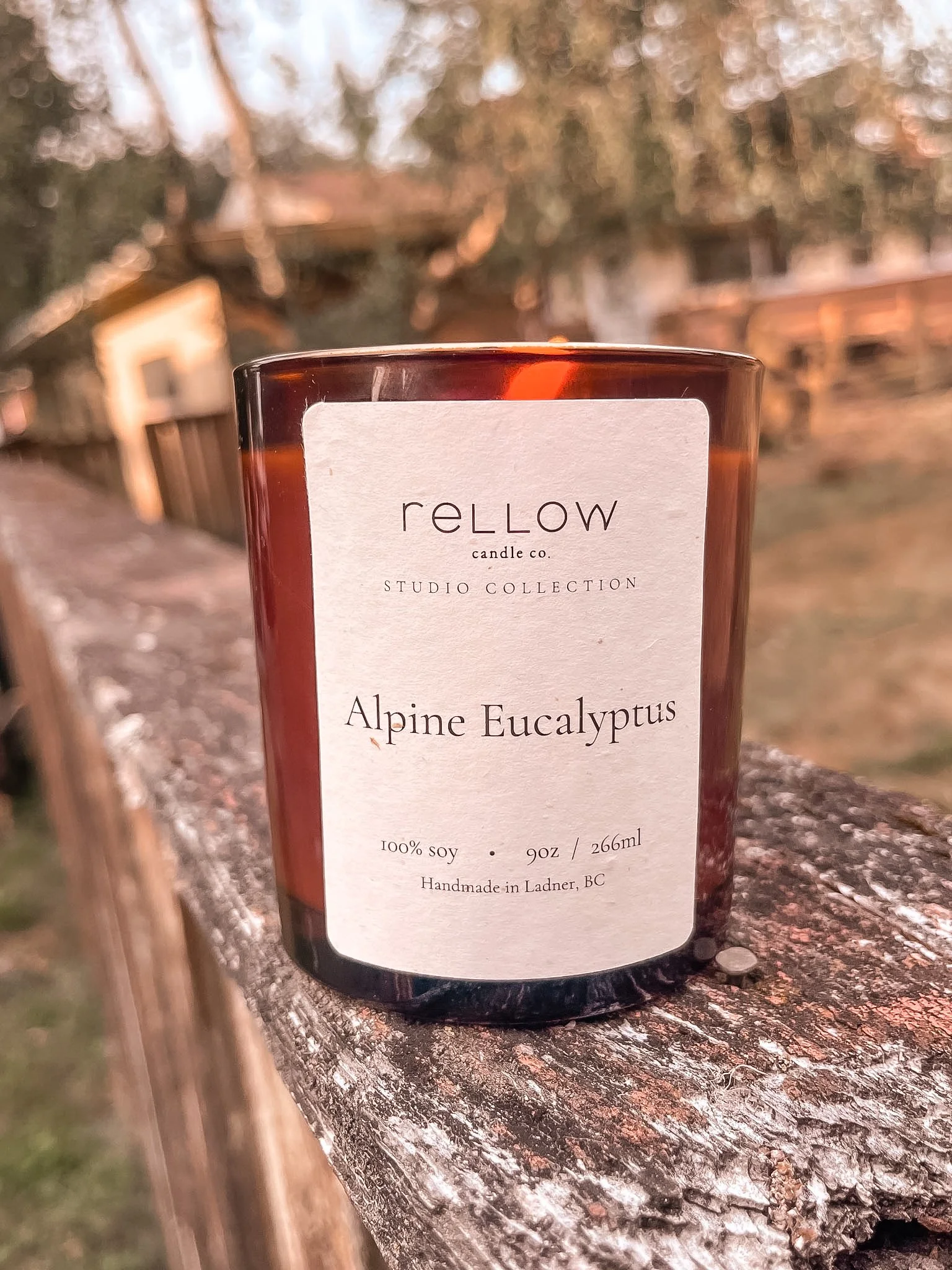 Alpine Eucalyptus