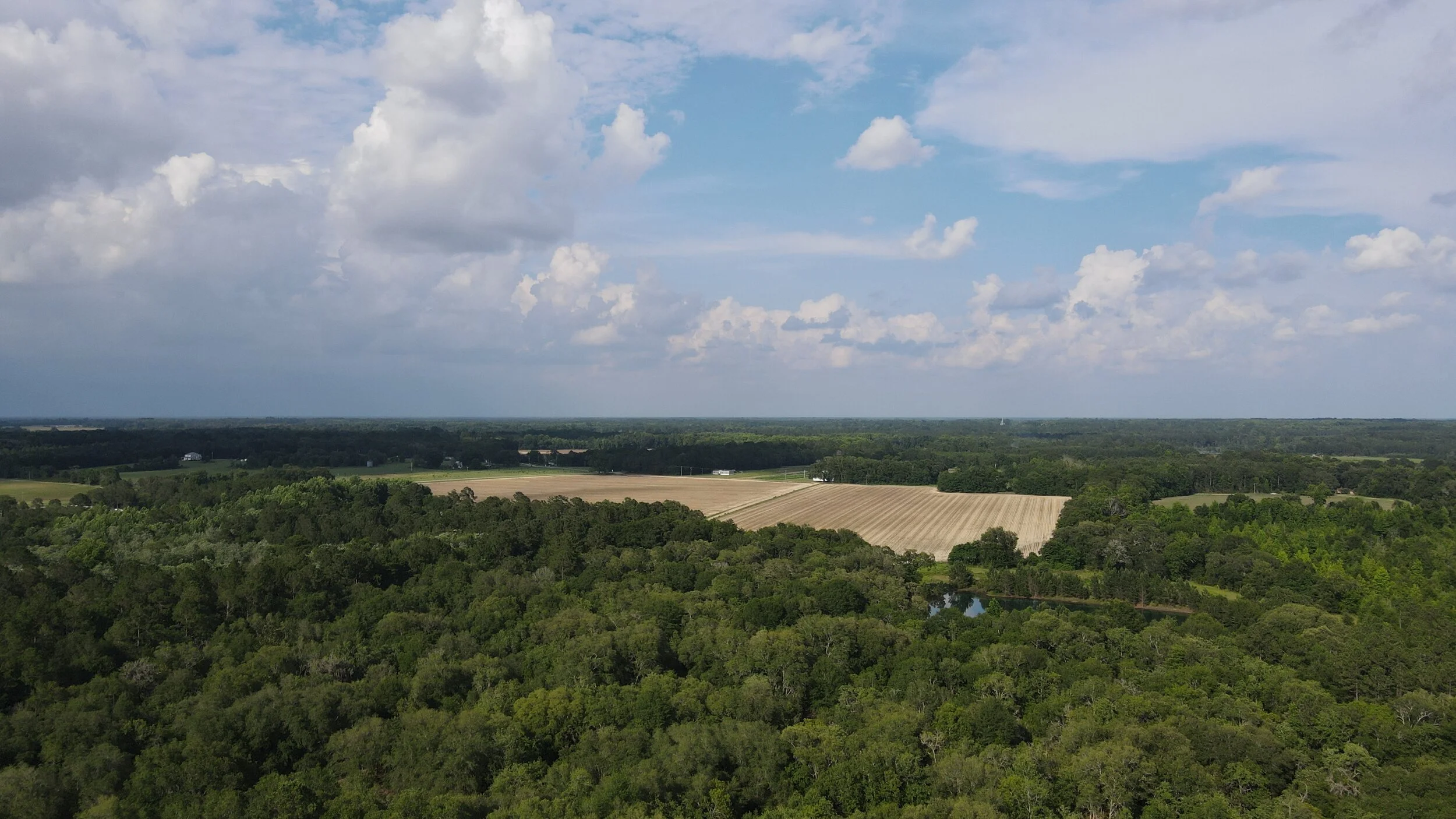 DJI_0146.JPG