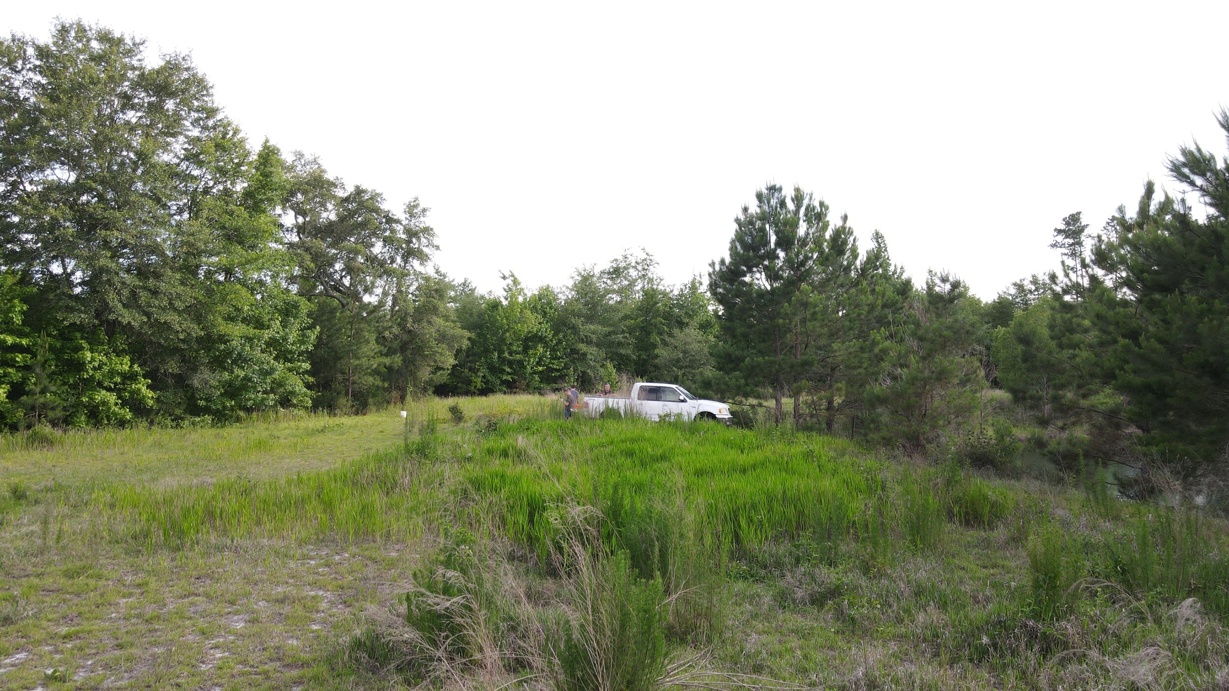 DJI_0170.JPG