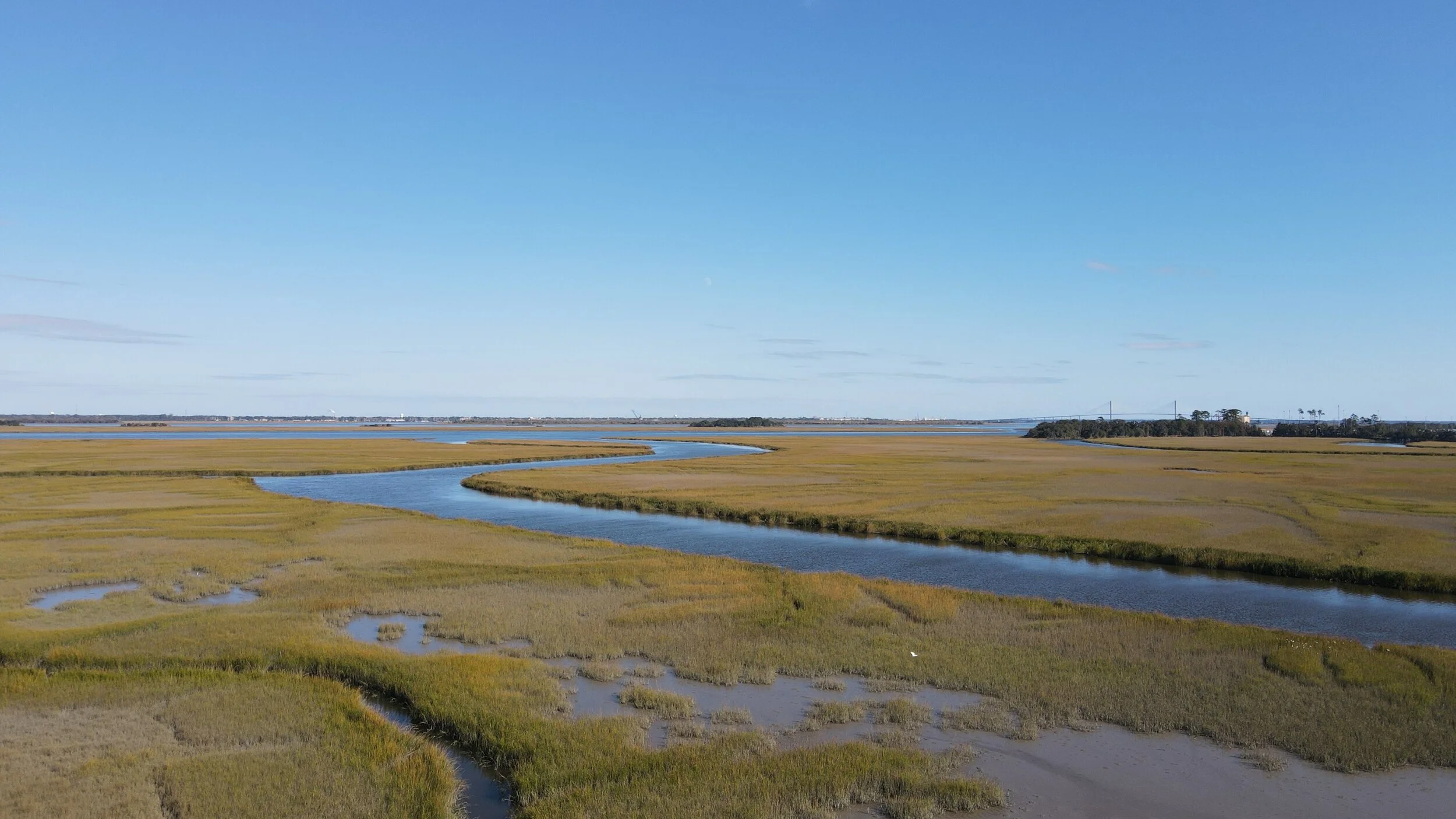 DJI_0737.JPG