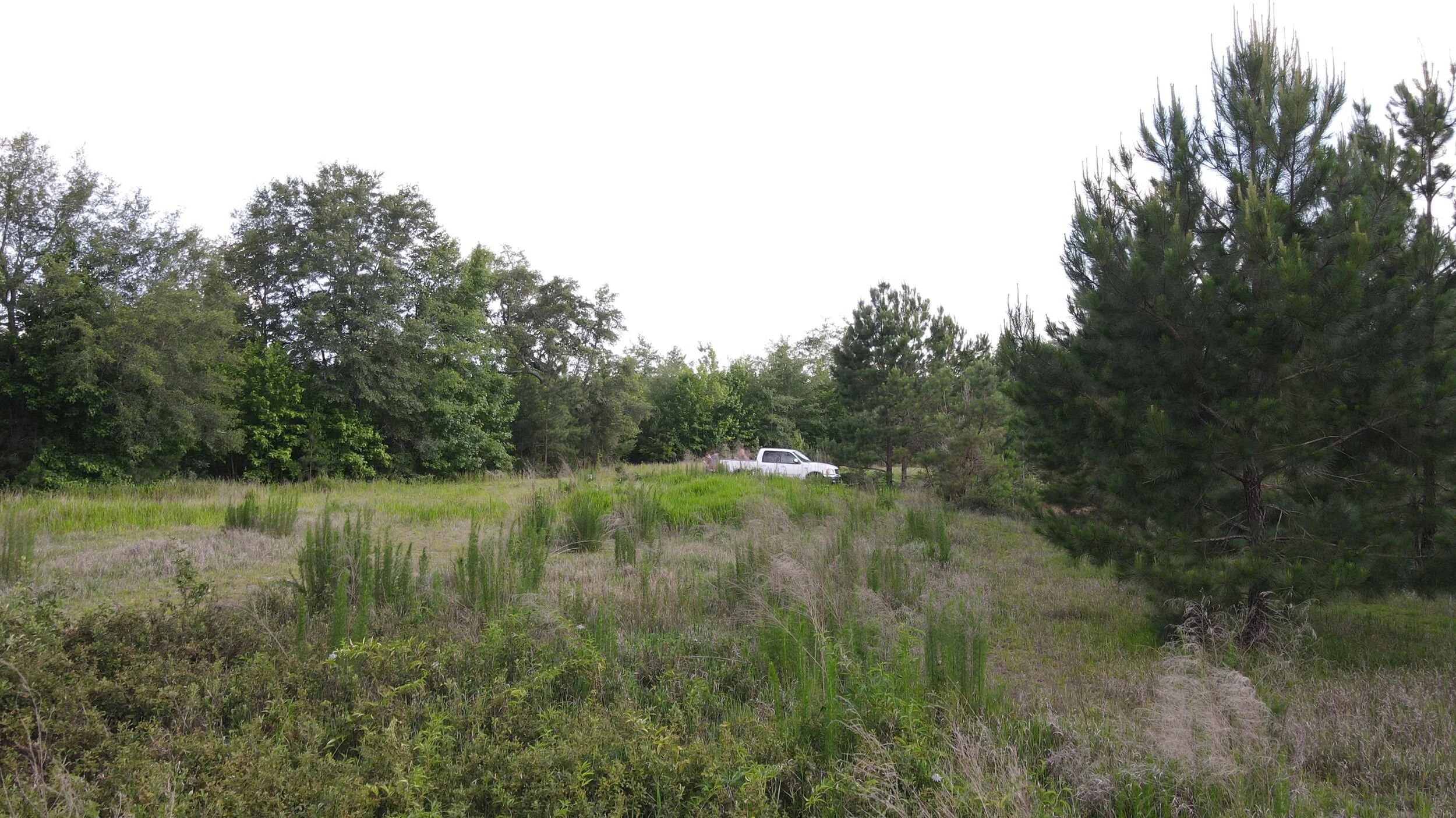 DJI_0171.JPG