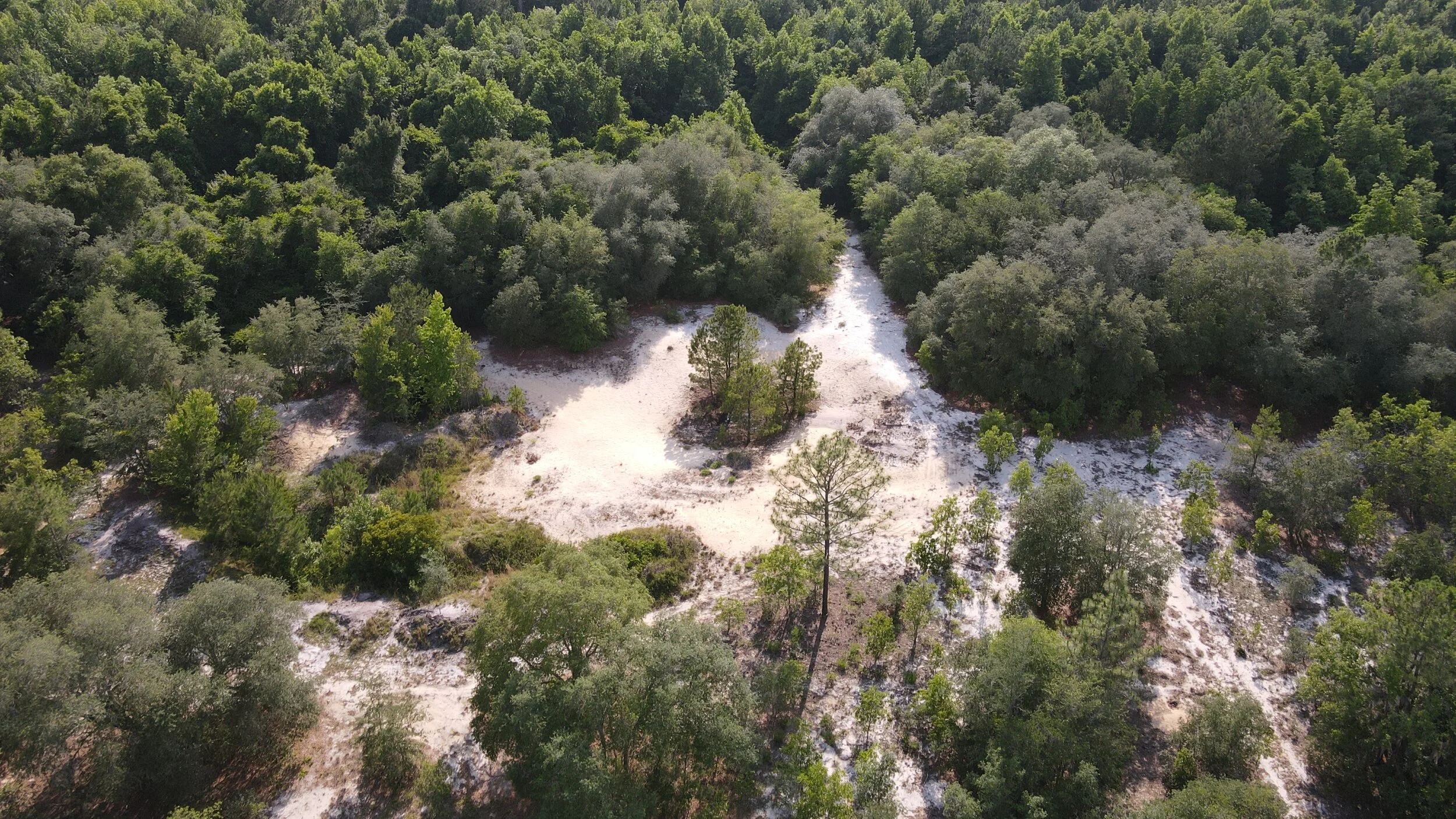 DJI_0142.JPG