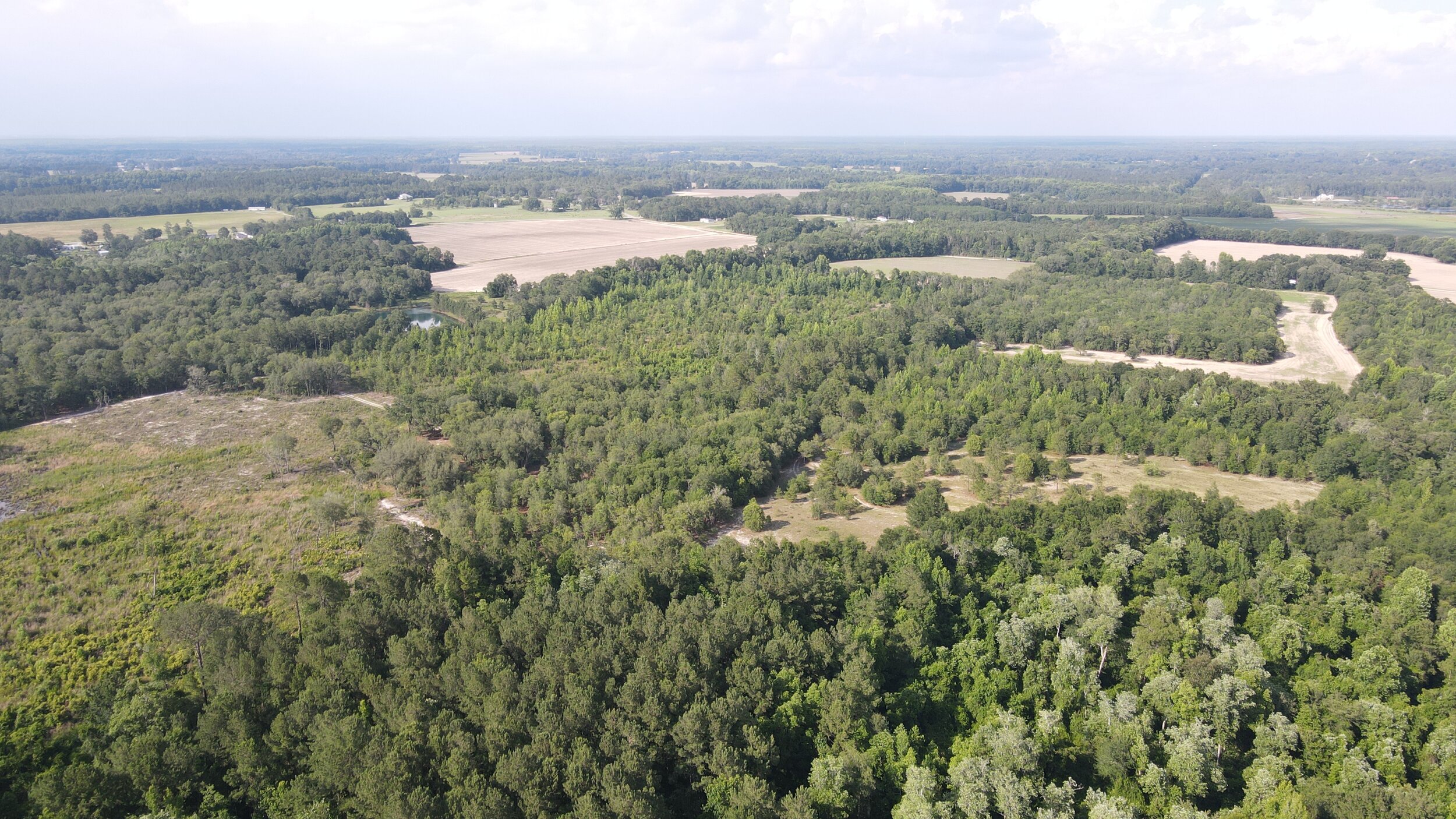 DJI_0129.JPG