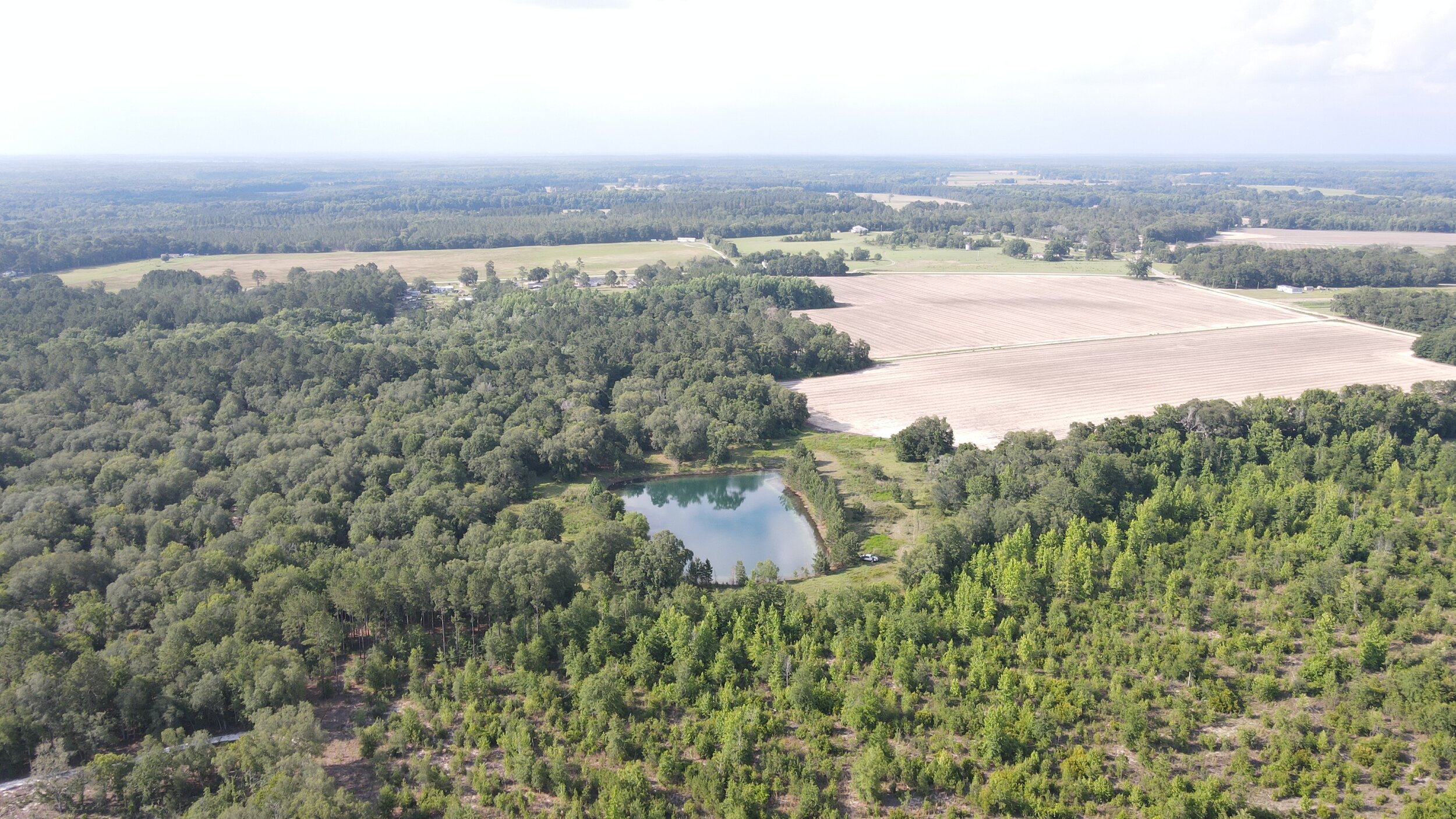DJI_0134.JPG