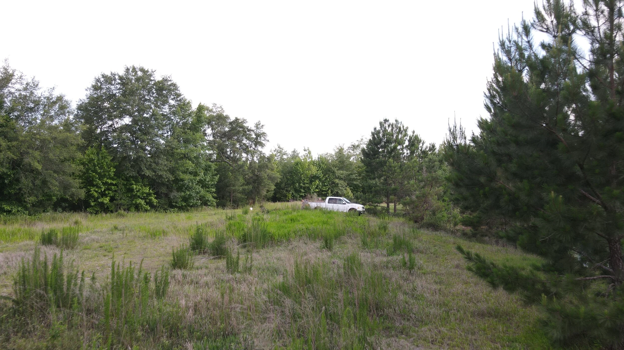 DJI_0173.JPG