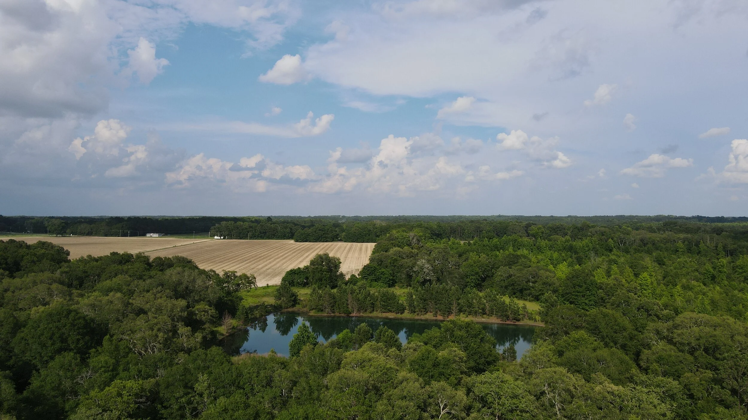 DJI_0148.JPG