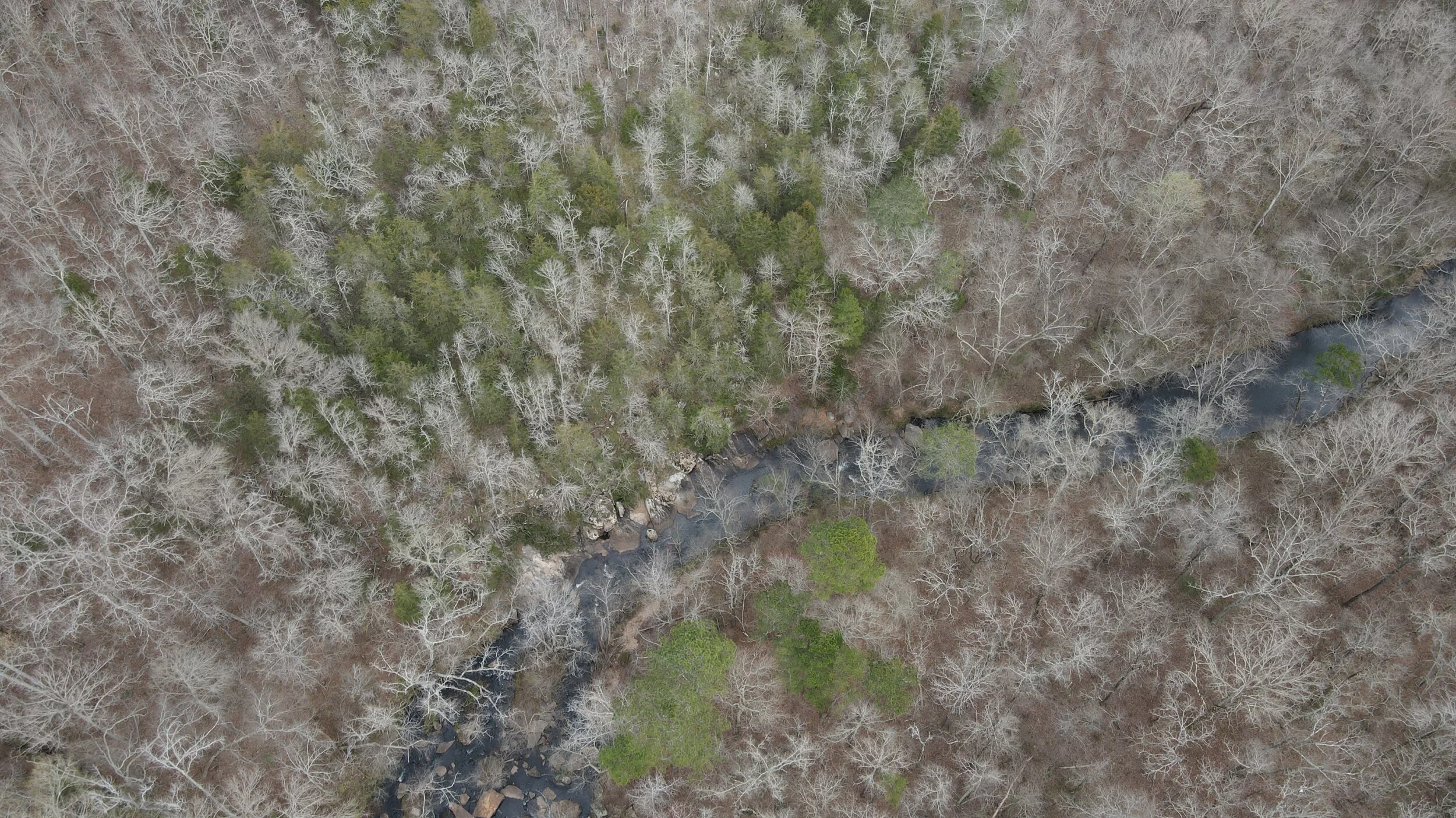 DJI_0293.JPG