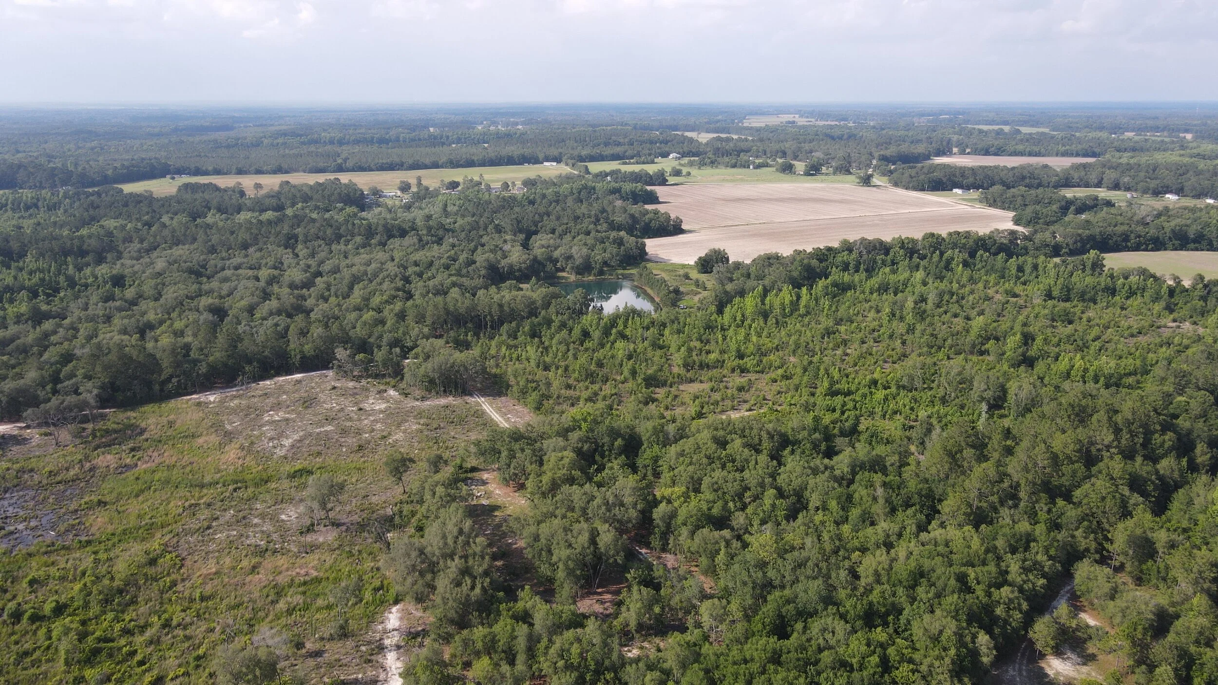 DJI_0131.JPG