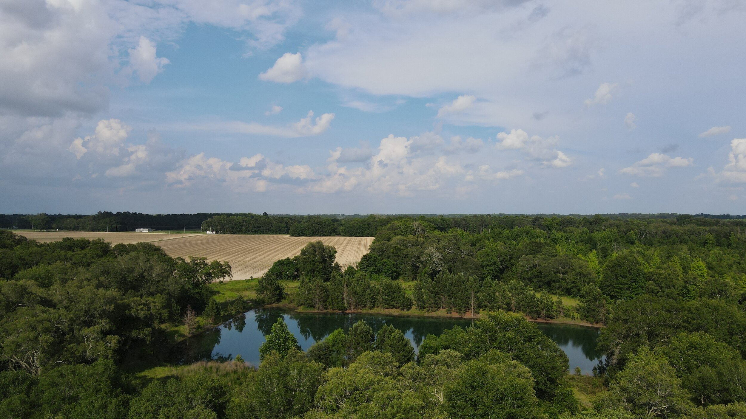 DJI_0149.JPG