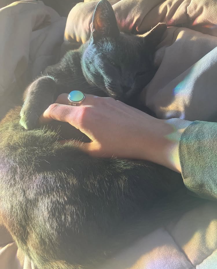 relating with the animal soul