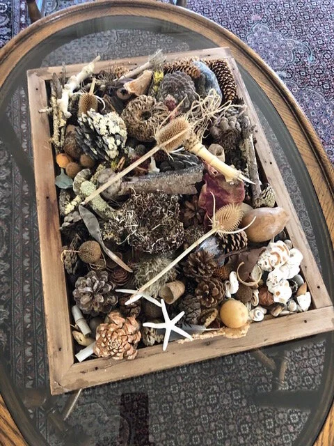 tray-of-material-for-bug-hotel.jpeg