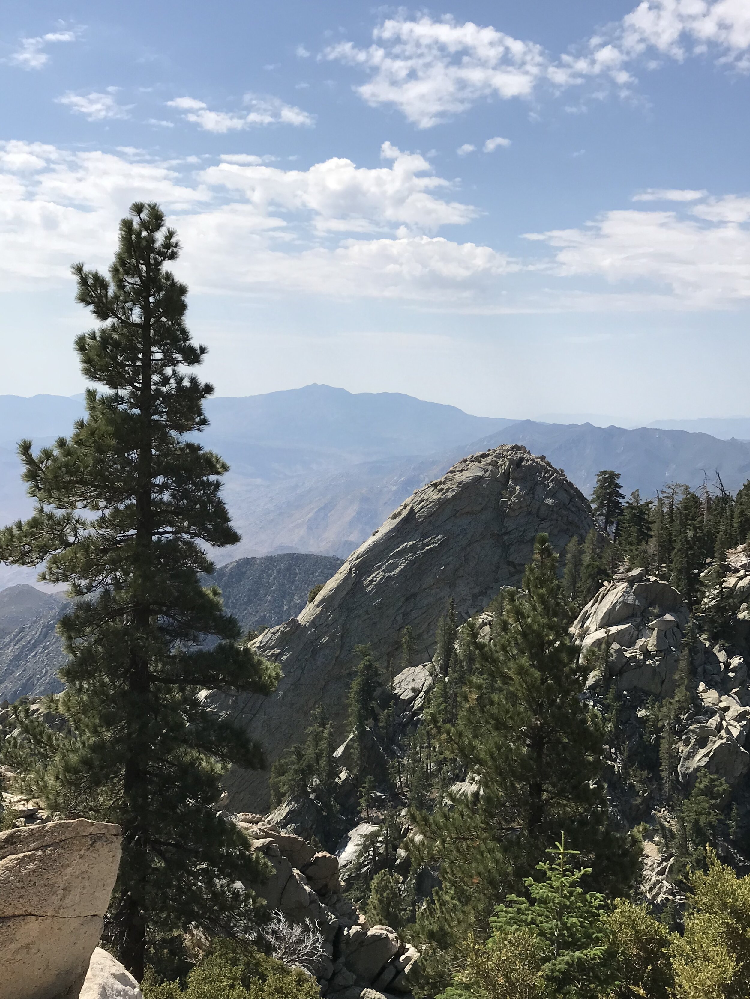 Overlook5.jpg