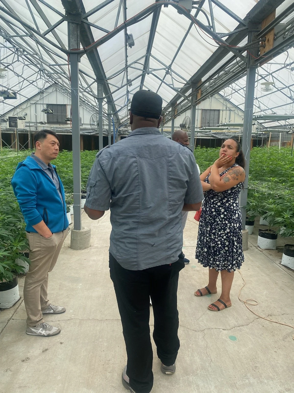 Cannabis Farm Tour2023.jpg