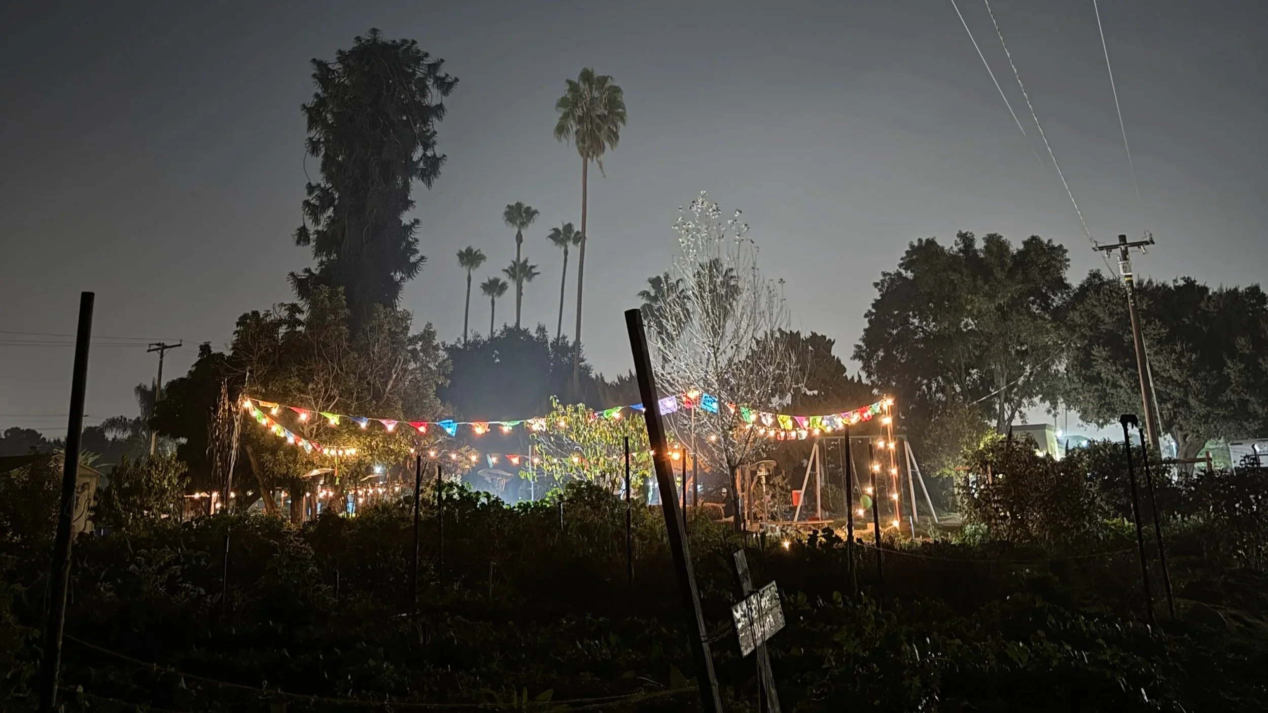 Citlalli Poetry: Poetry and Music