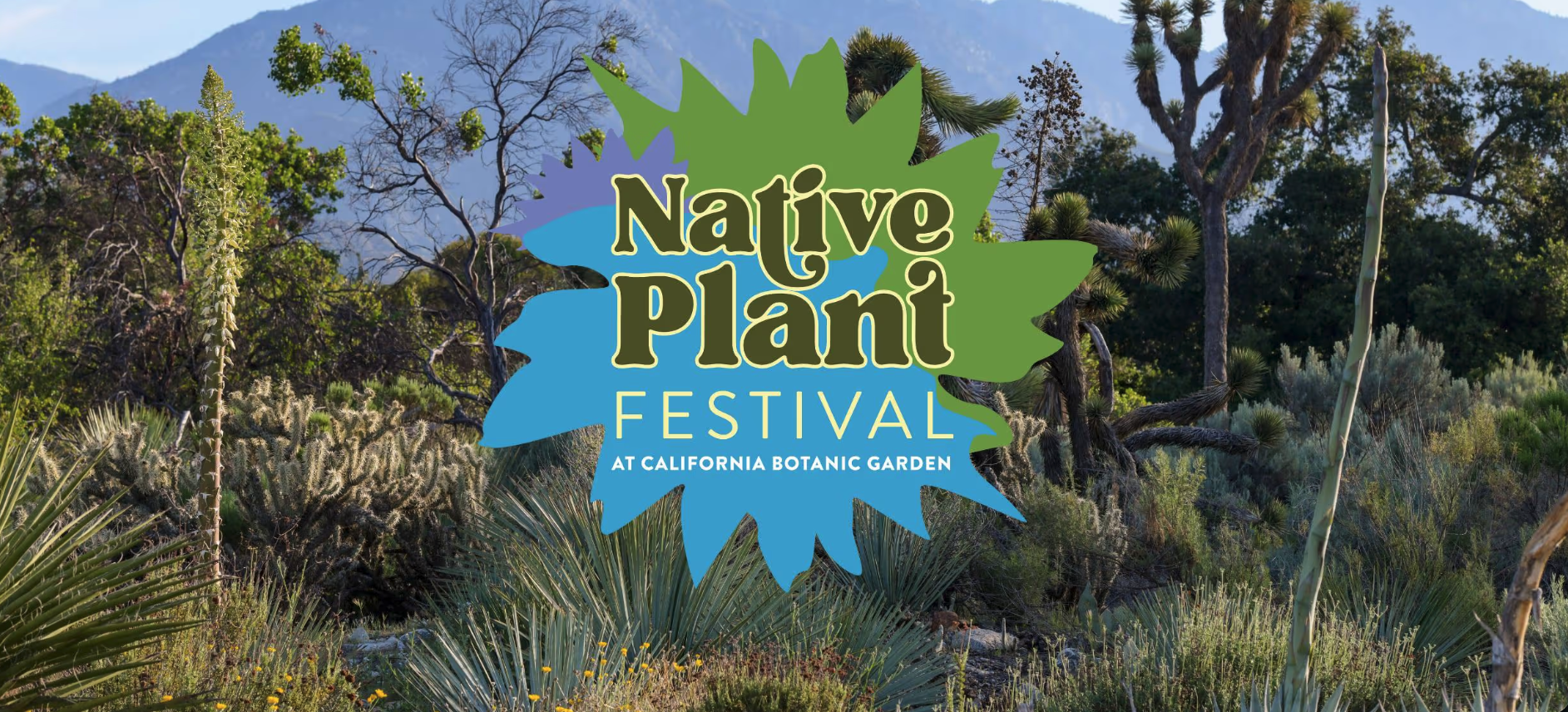 California Botanic Garden Native Plant Festival (Exhibitor)