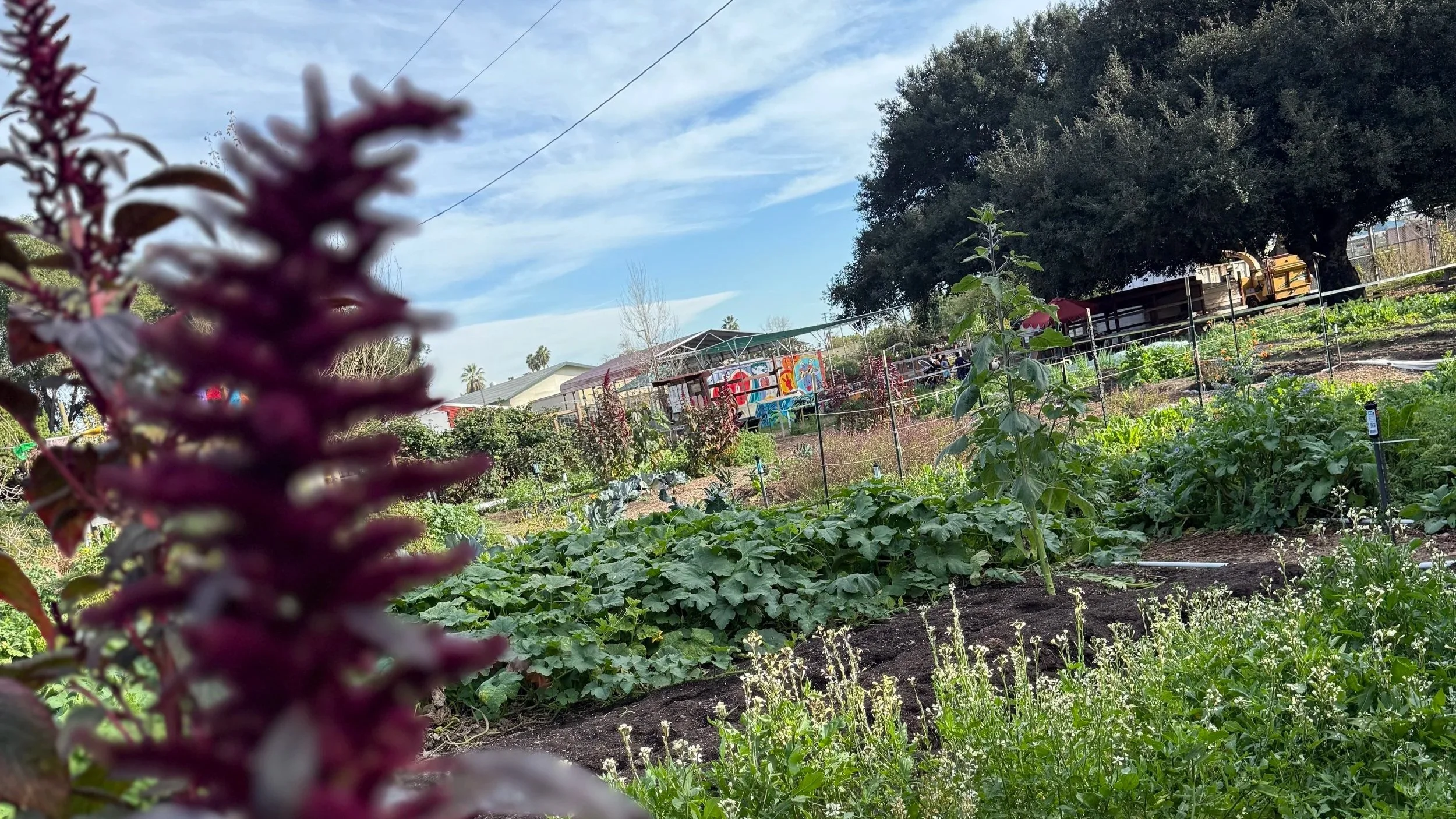 FREE Family Bilingual Yoga w/Juanita