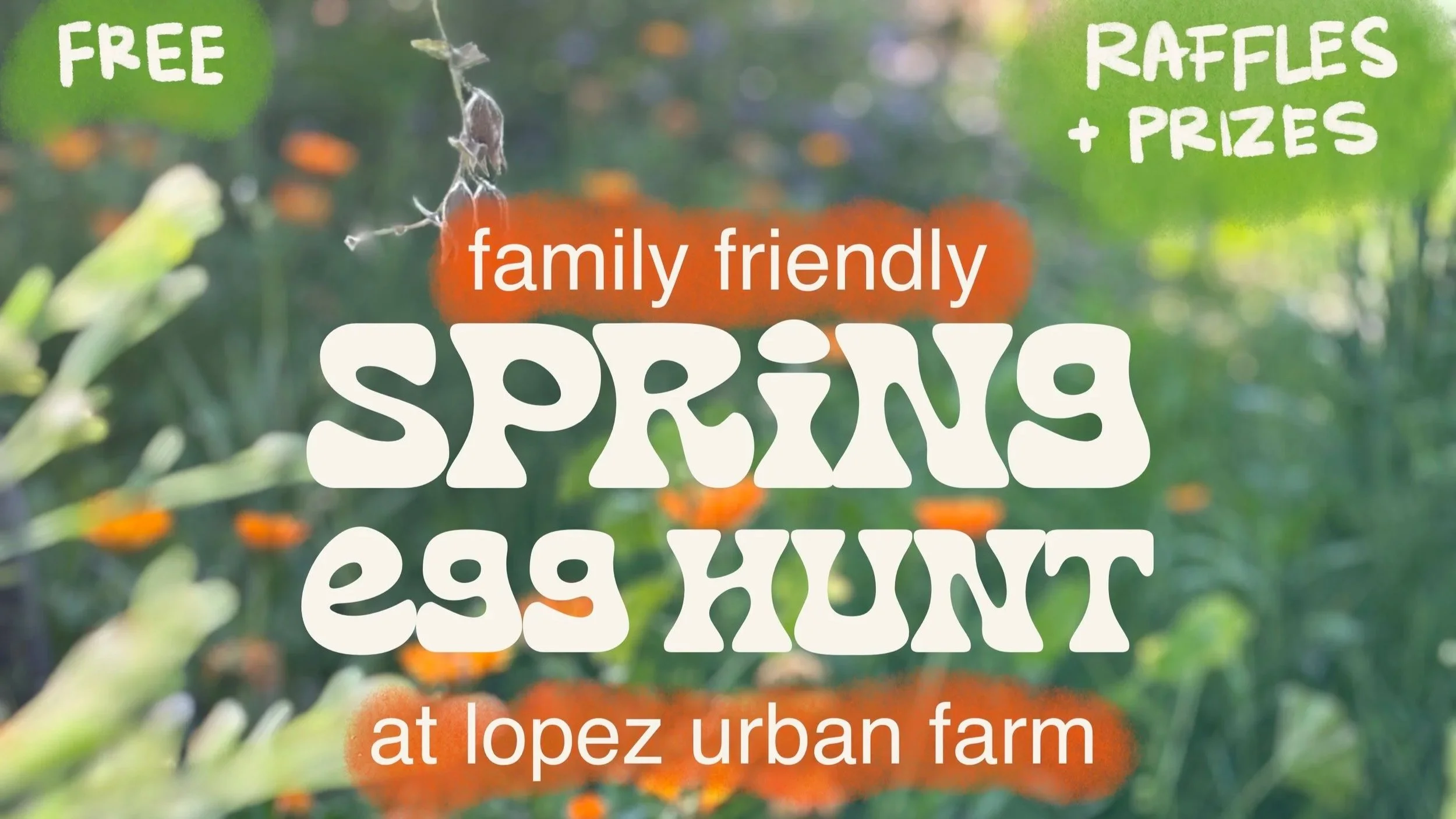 Family Friendly Spring Egg Hunt